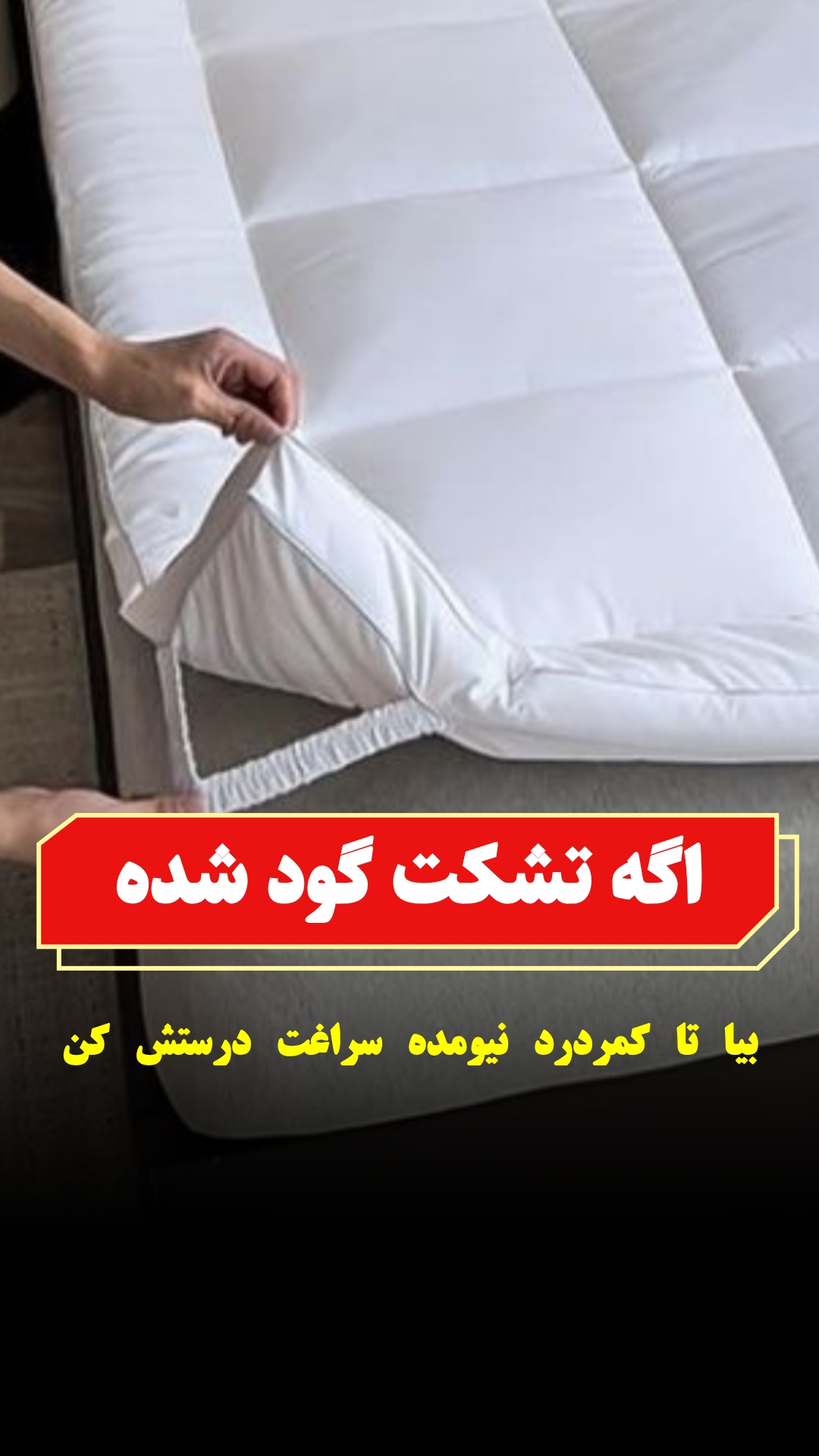 پد تشک