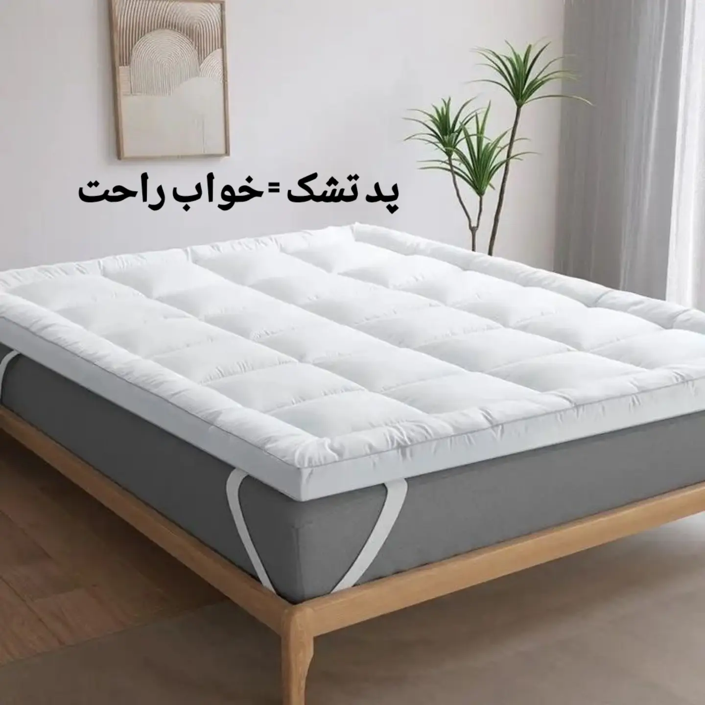 پد تشک مورفیوس
